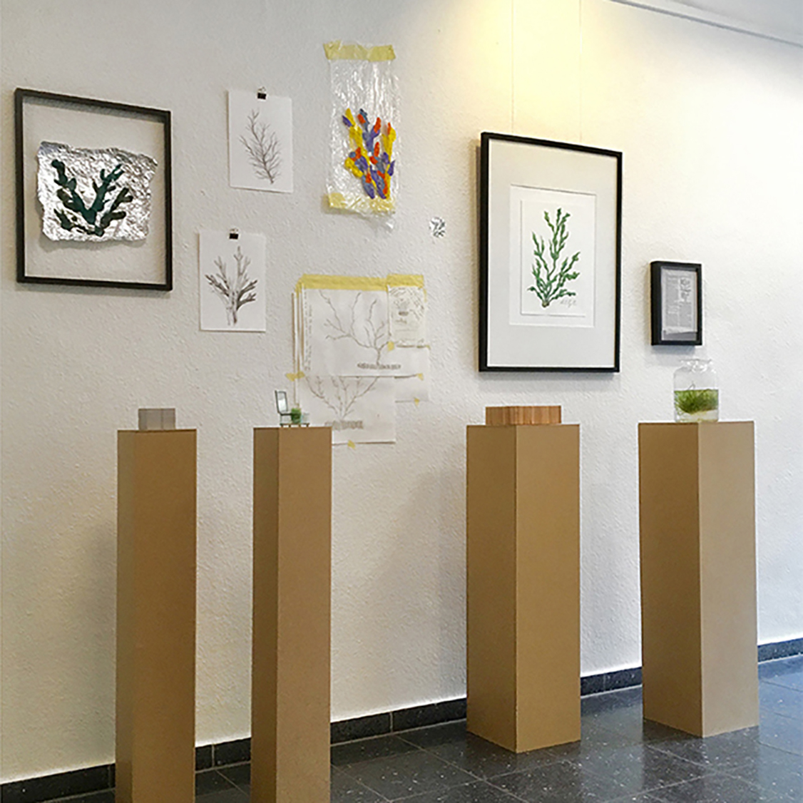 Anne-Quadflieg-BA-Show-2019-ALGE-Projekt_Konzept__small-1.jpg
